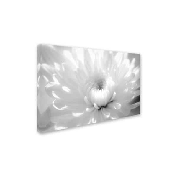 PIPA Fine Art 'Infrared Flower 2' Canvas Art,16x24